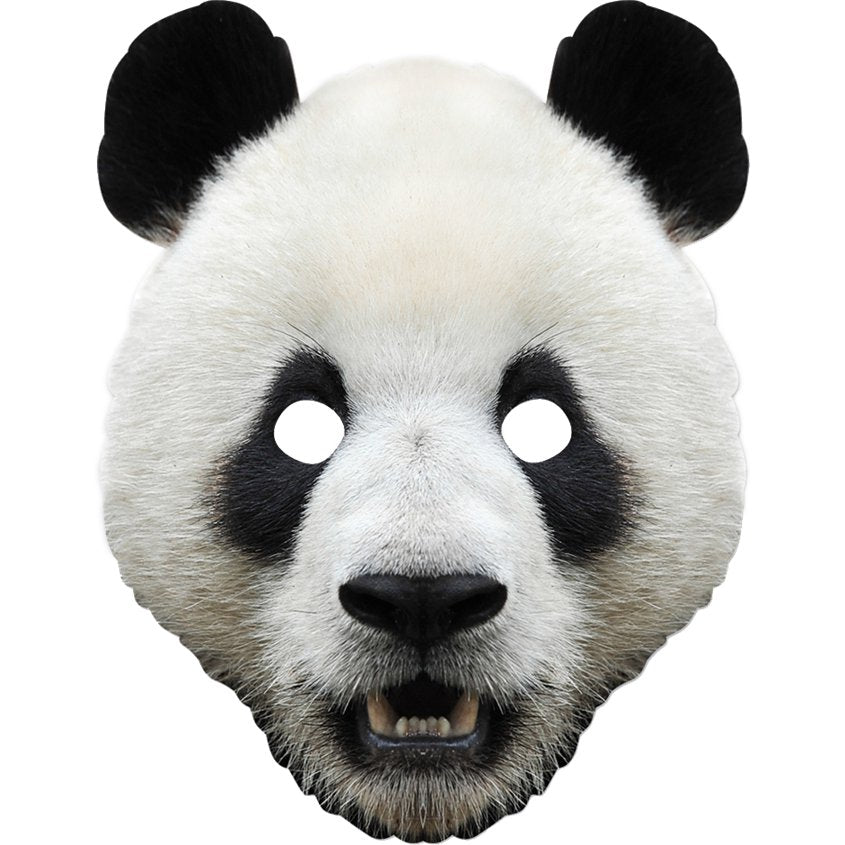 Panda Animal Cardboard Mask - World Book Day Fancy Dress Accessories front