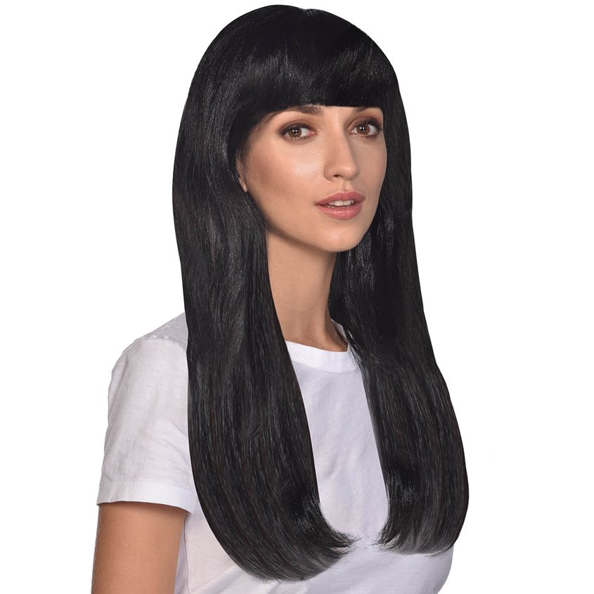 Long Black Wig - Womens Halloween Fancy Dress Accessories front