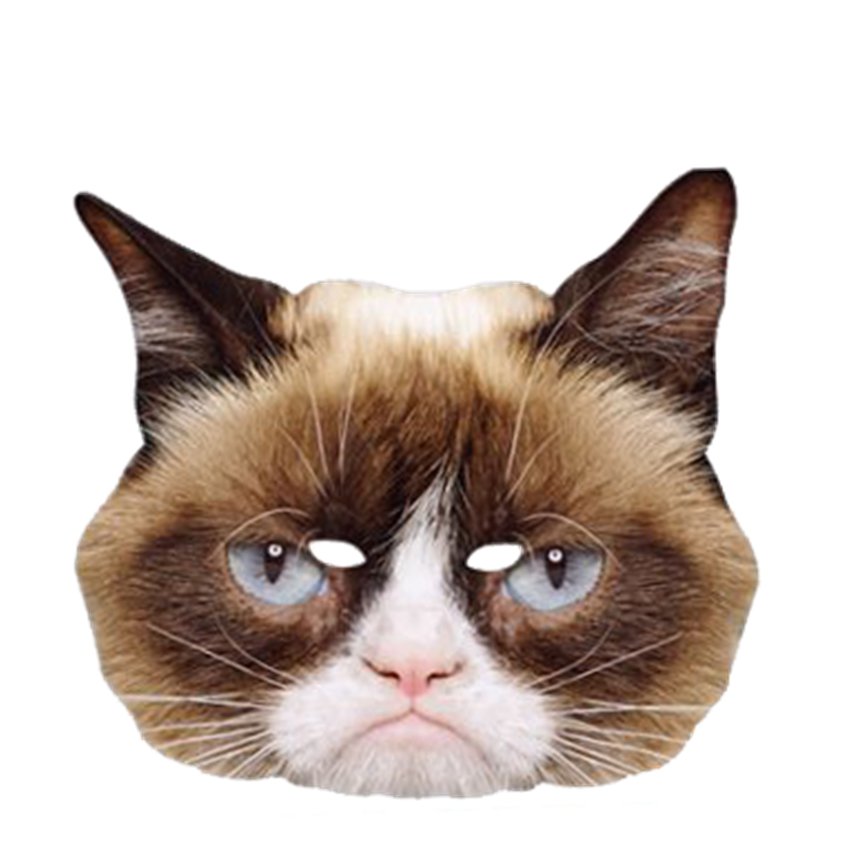 Grumpy Cat Mask - Animal Mask front