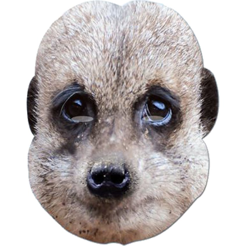 Meerkat Mask - Animal Masks front