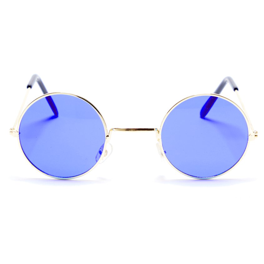 Round Blue Glasses- Unisex 60s Fancy Dress Accessories front